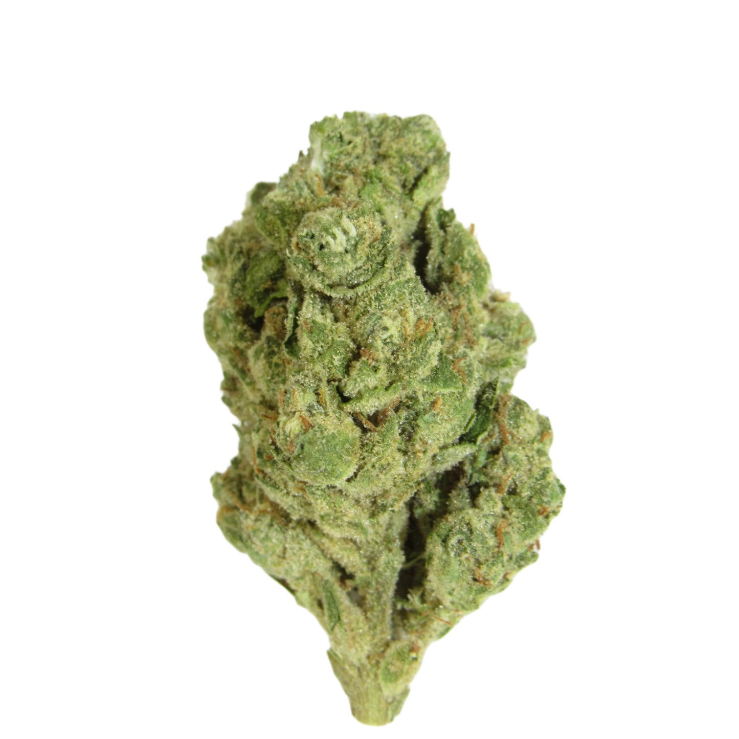 San Fernando Valley OG